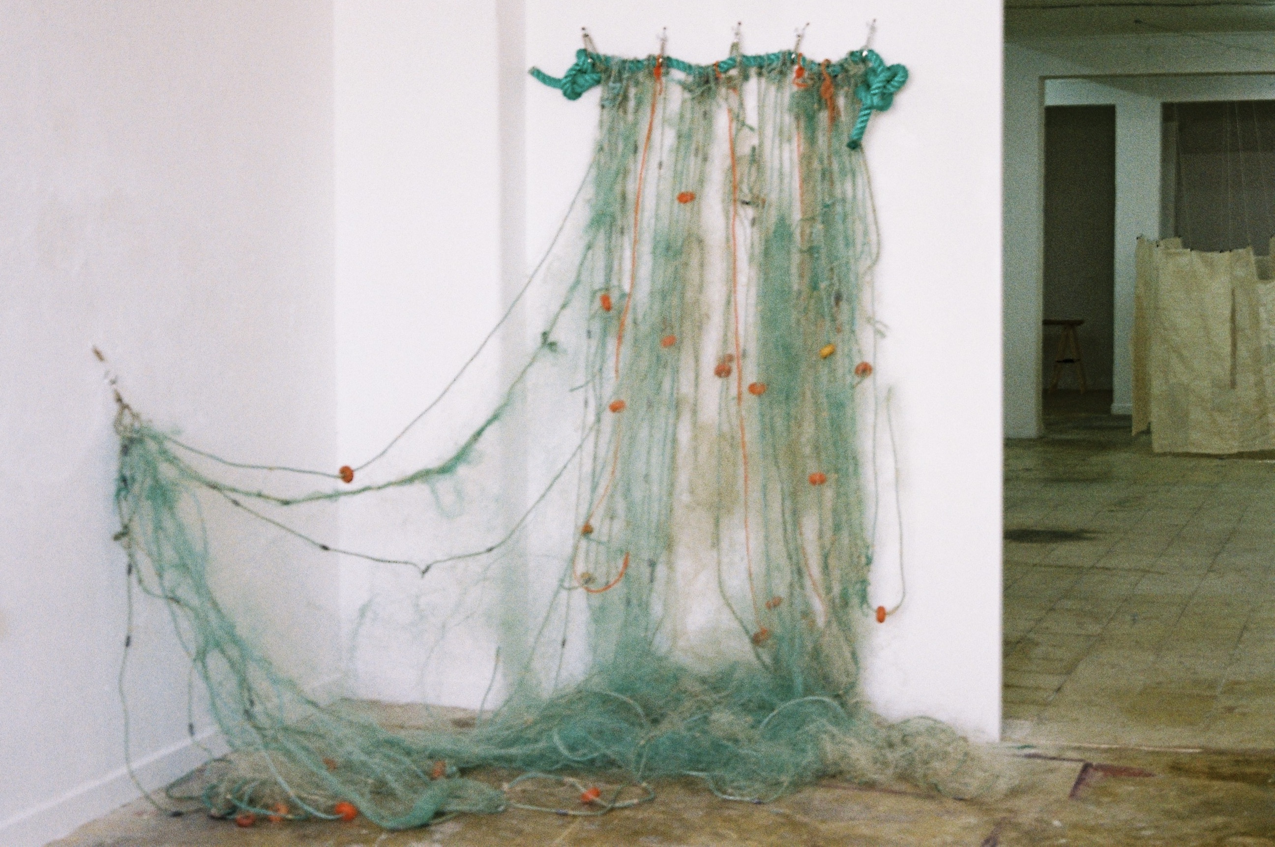 images/1.JPG